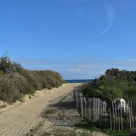 Les Goelettes - Appartement En Rdc Avec Acces Direct A La Plage Saint-Cyprien  Luaran gambar