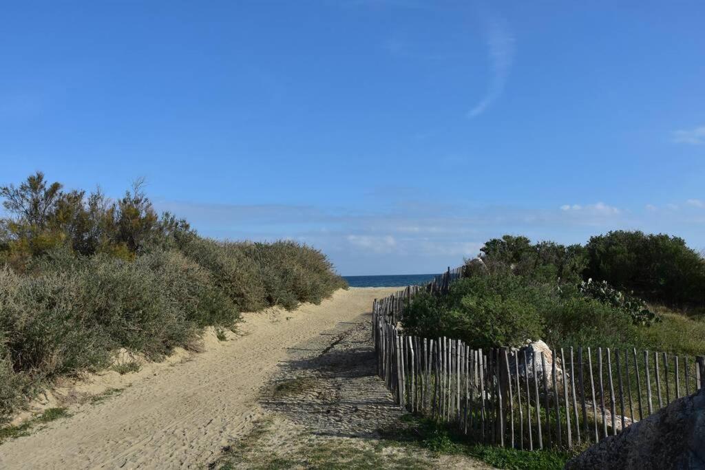 Les Goelettes - Appartement En Rdc Avec Acces Direct A La Plage Saint-Cyprien  Luaran gambar