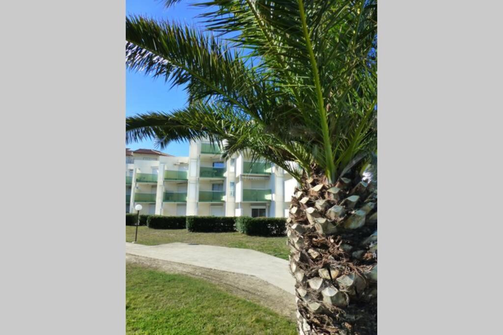 Les Goelettes - Appartement En Rdc Avec Acces Direct A La Plage Saint-Cyprien  Luaran gambar