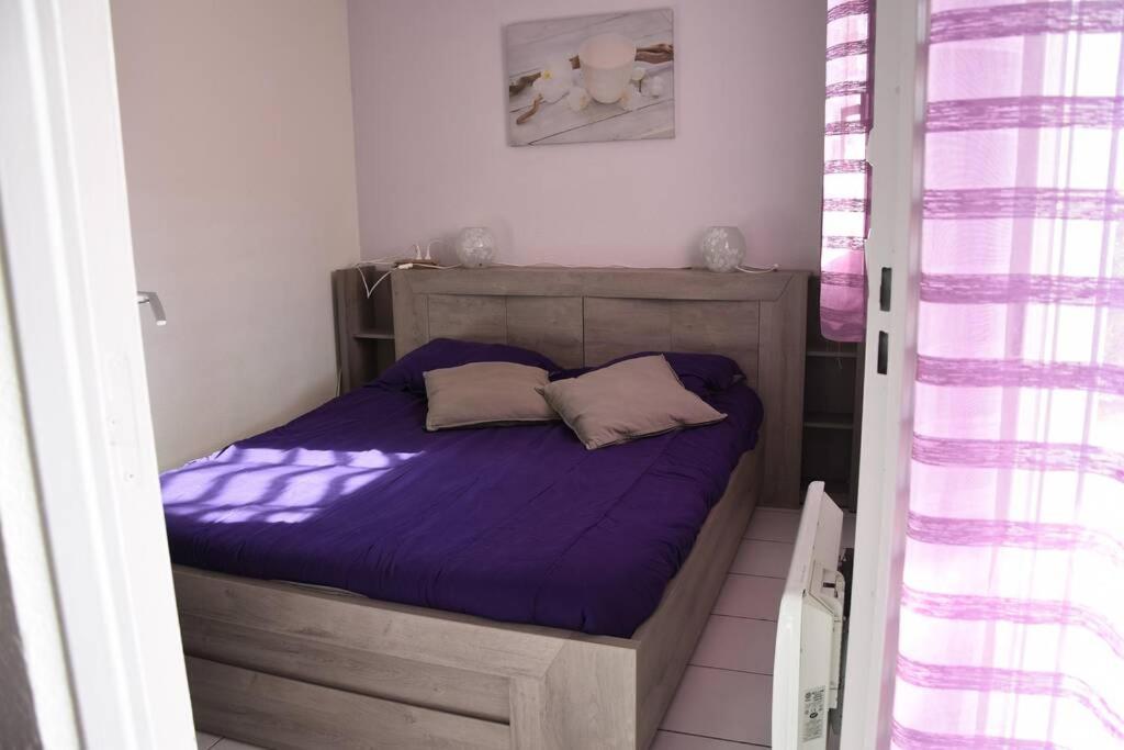 Les Goelettes - Appartement En Rdc Avec Acces Direct A La Plage Saint-Cyprien  Luaran gambar