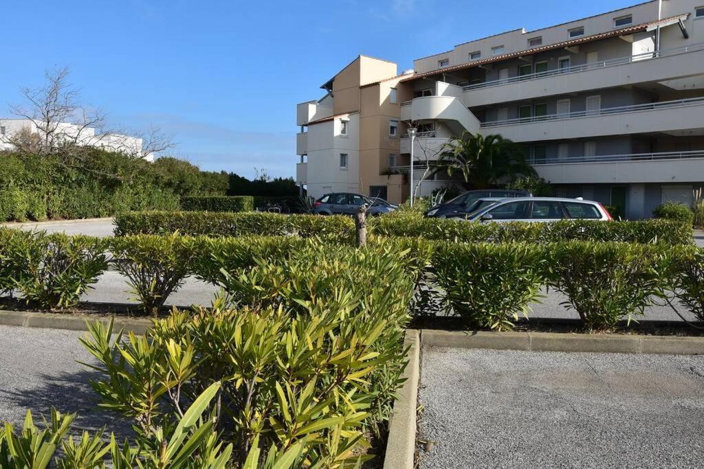 Les Goelettes - Appartement En Rdc Avec Acces Direct A La Plage Saint-Cyprien  Luaran gambar