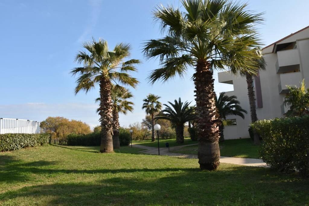 Les Goelettes - Appartement En Rdc Avec Acces Direct A La Plage Saint-Cyprien  Luaran gambar